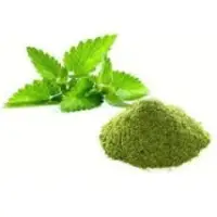Mint Powder