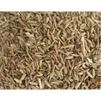 Cumin Seed