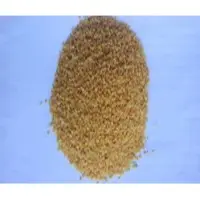 Mustard Seed (Rai Kuriya)