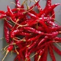 Red Chilli Dry