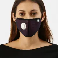 Fresh Filter Six Layered Face Mask