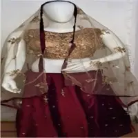 Indian Ethnic Crop Top With Skirt
