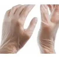 Latex Free Examination Gloves - Vinyl