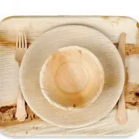 Areca Leaves Dinnerware Plates