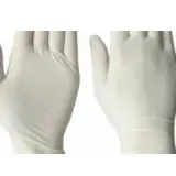 Latex Examination Gloves - Powderfree