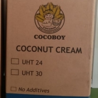 Coconut Cream 24% Fat In Bulk