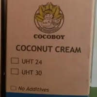 Coconut Cream 24% Fat In Bulk