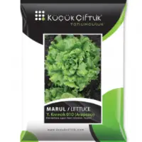 Lettuce