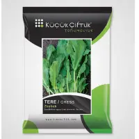 Turn Back Cere / Olive