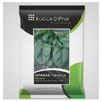 Spinach