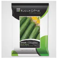 Cucumber