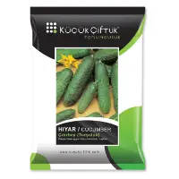 Cucumber