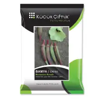 Okra