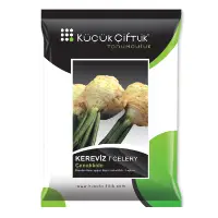Celery