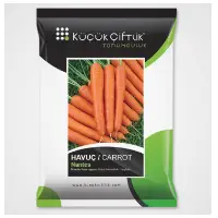 Carrot
