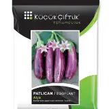 Eggplant