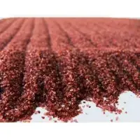Garnet Abrasive 30/60
