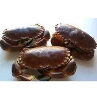 Crab