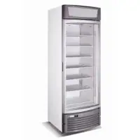 Vertical Freezers FR 410 VGCB