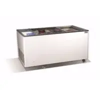 Sliding Glass Horizontal Freezers Iceberg15
