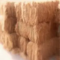 Coir Fibre