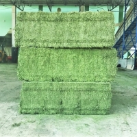 Alfalfa Hay