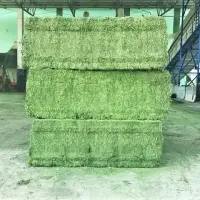 Alfalfa Hay