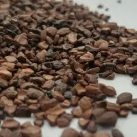 Olive Biomass Fuel