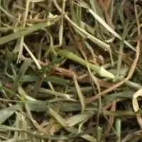 Ryegrass Hay