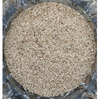 Whitish Sesame Seed