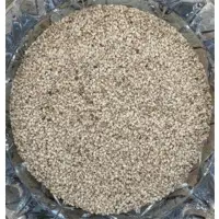 Whitish Sesame Seed