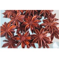 Star Anise Seed