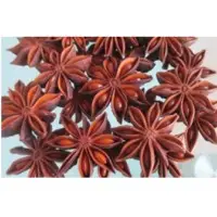 Star Anise Seed