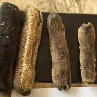 Sea Cucumber / Beach De Mer (Disco, Nool, SFO)