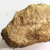 Rare Solid Rock Soil Including Palladium