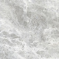 Polished Porcelain Tiles