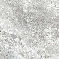 Polished Porcelain Tiles