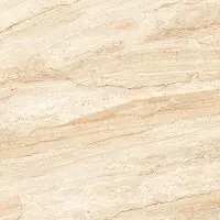 Polished Porcelain Tiles