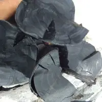 Tamarind Wood Charcoal
