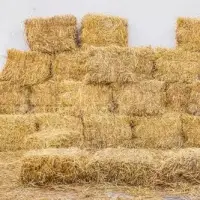Rice Straw Bale , Paddy Straw , Rice Waste