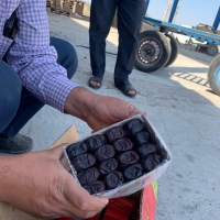 Mazafati Dates 600 Gm