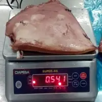 Giant Squid Boiled Wings 300 Grs UP