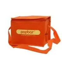 Cooler Bag