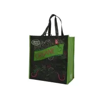 RPET Bag - Laminated Gift Bag
