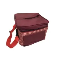 Gift Cooler Bags