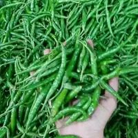 Green Chilli