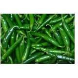Green Chilli G4