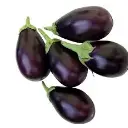 Brinjal Small