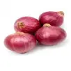 Onion Small
