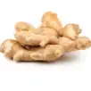 Ginger